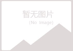 西峰夏槐化学有限公司